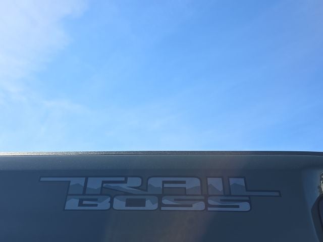 2025 Chevrolet Silverado 3500HD LTZ