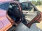 2025 Lexus NX 450h+ F SPORT